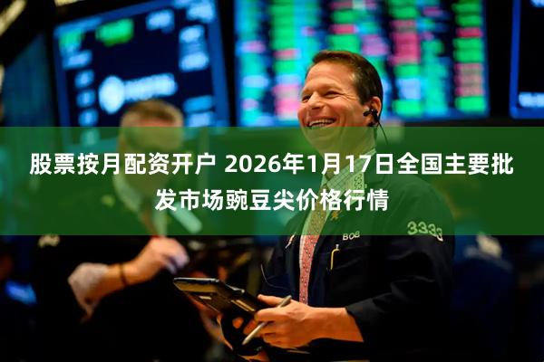 股票按月配资开户 2026年1月17日全国主要批发市场豌豆尖价格行情